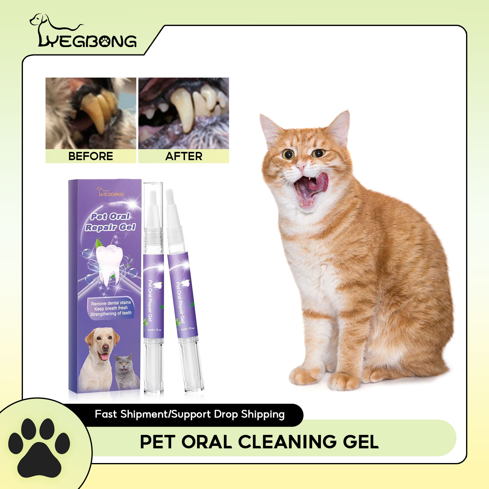 Teeth Whitening Singapore - Pet Oral Onarım Jeli Yavru Tartar